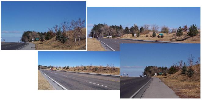 Lander (WYO 789) - North Parkway tree planting