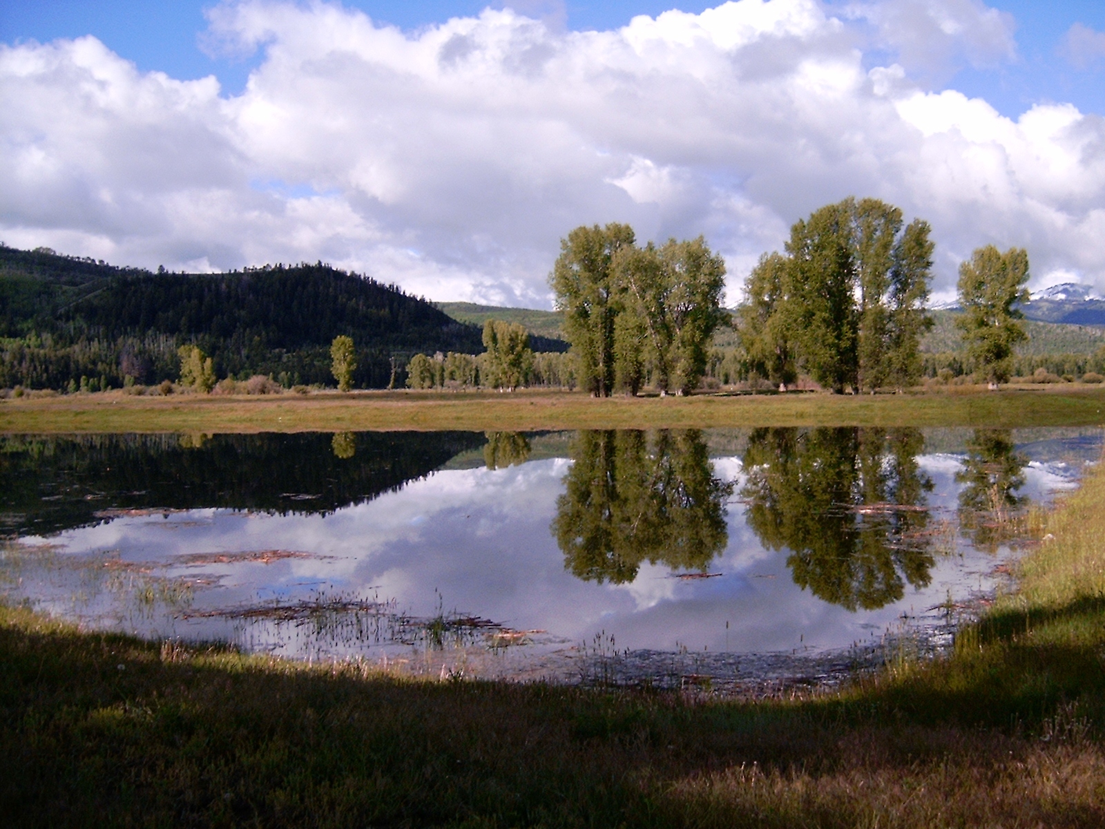 Wetland