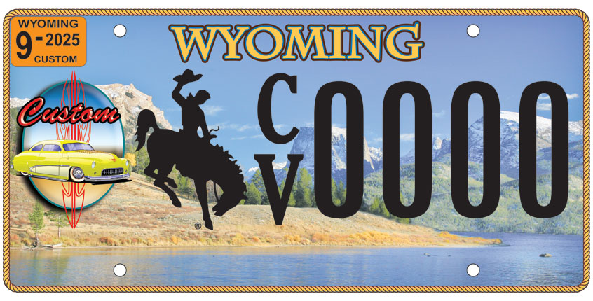/files/live/sites/wydot/files/shared/Motor%20Vehicle%20Services/2017%20CUSTOM%20VEHICLE.jpg