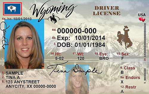Driver-license.jpg