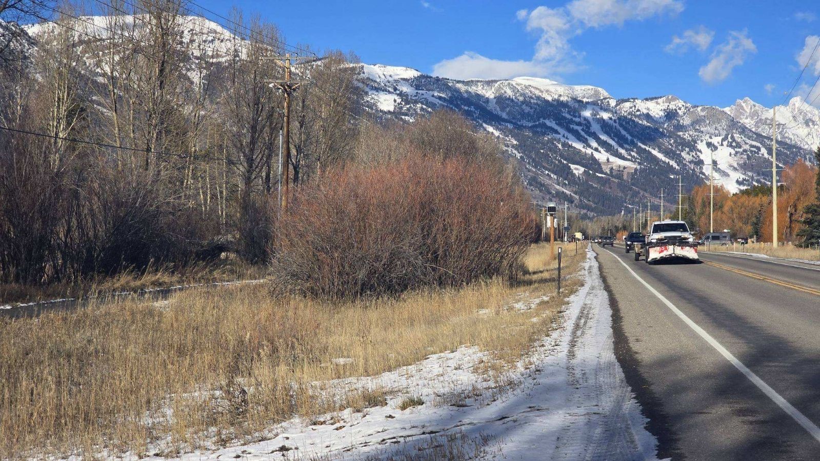 390 brush clearing 2.jpg