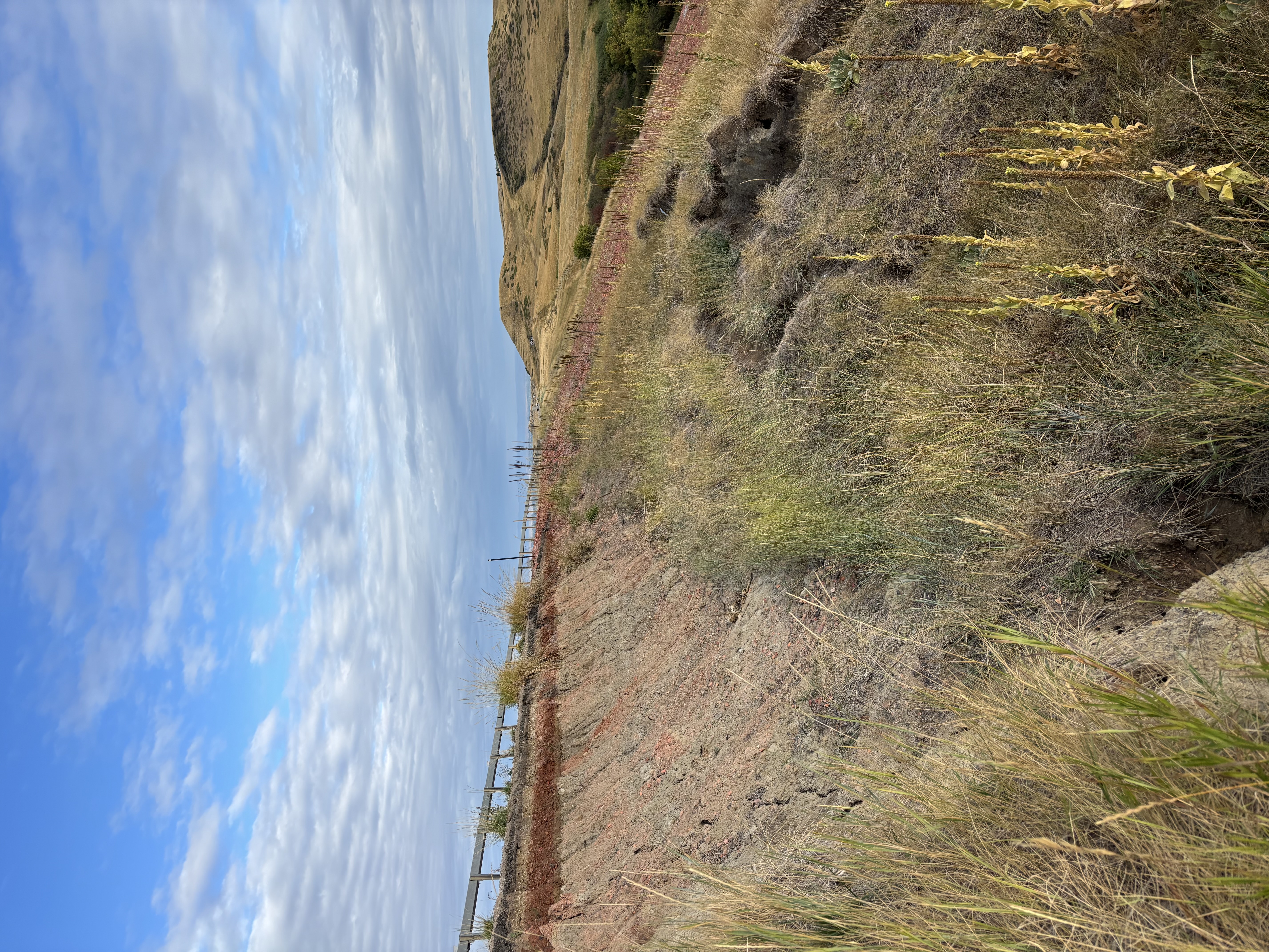I90 MM 29.7 slope failure.jpg