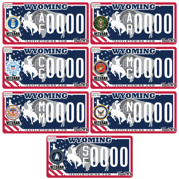 /files/live/sites/wydot/files/shared/Motor%20Vehicle%20Services/2025%20Plate%20images/2025-ALL-7-MILITARY.jpg