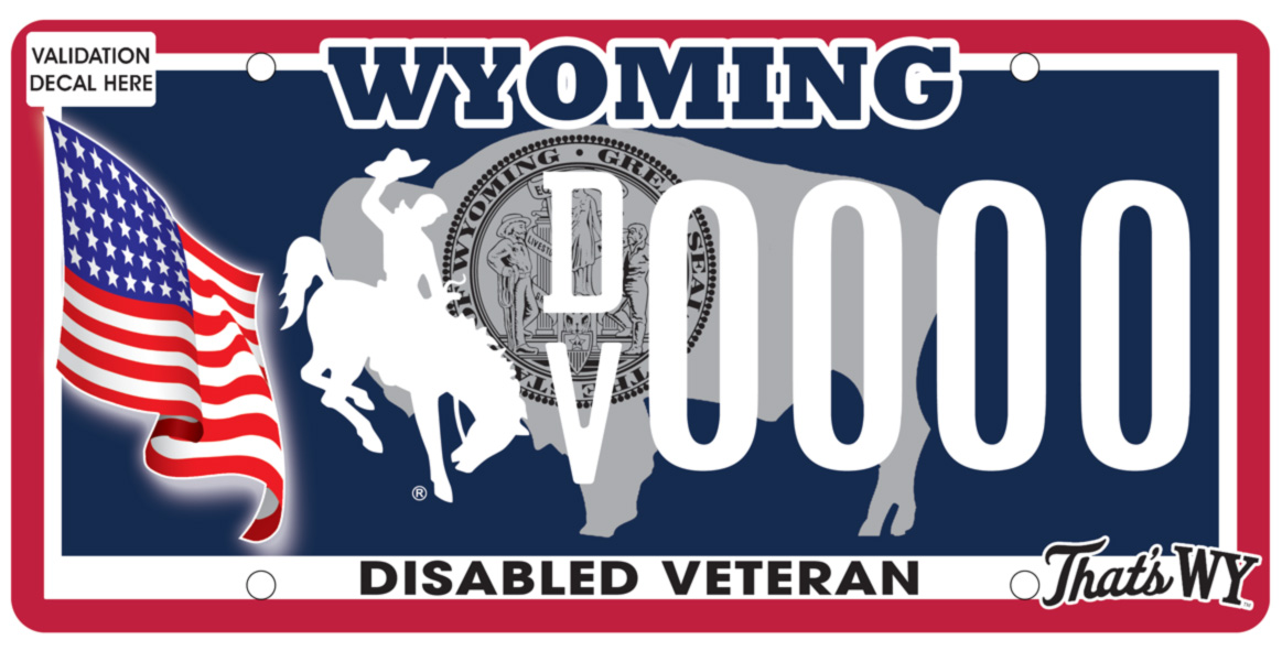 /files/live/sites/wydot/files/shared/Motor%20Vehicle%20Services/2025%20Plate%20images/2025-DV.jpg