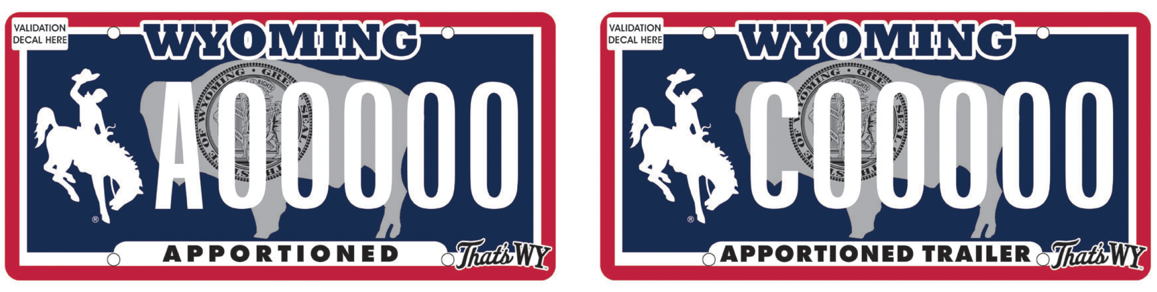 2025 STATE ISSUED apportioned.jpg (2025 STATE ISSUED PLATES 1)