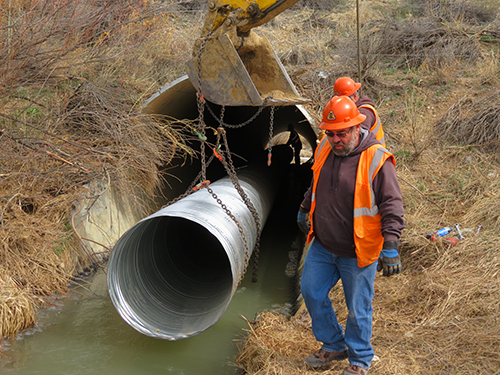 DorseyCreek 4-2020.jpg
