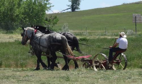 I25 Forage June 2022.2.jpg