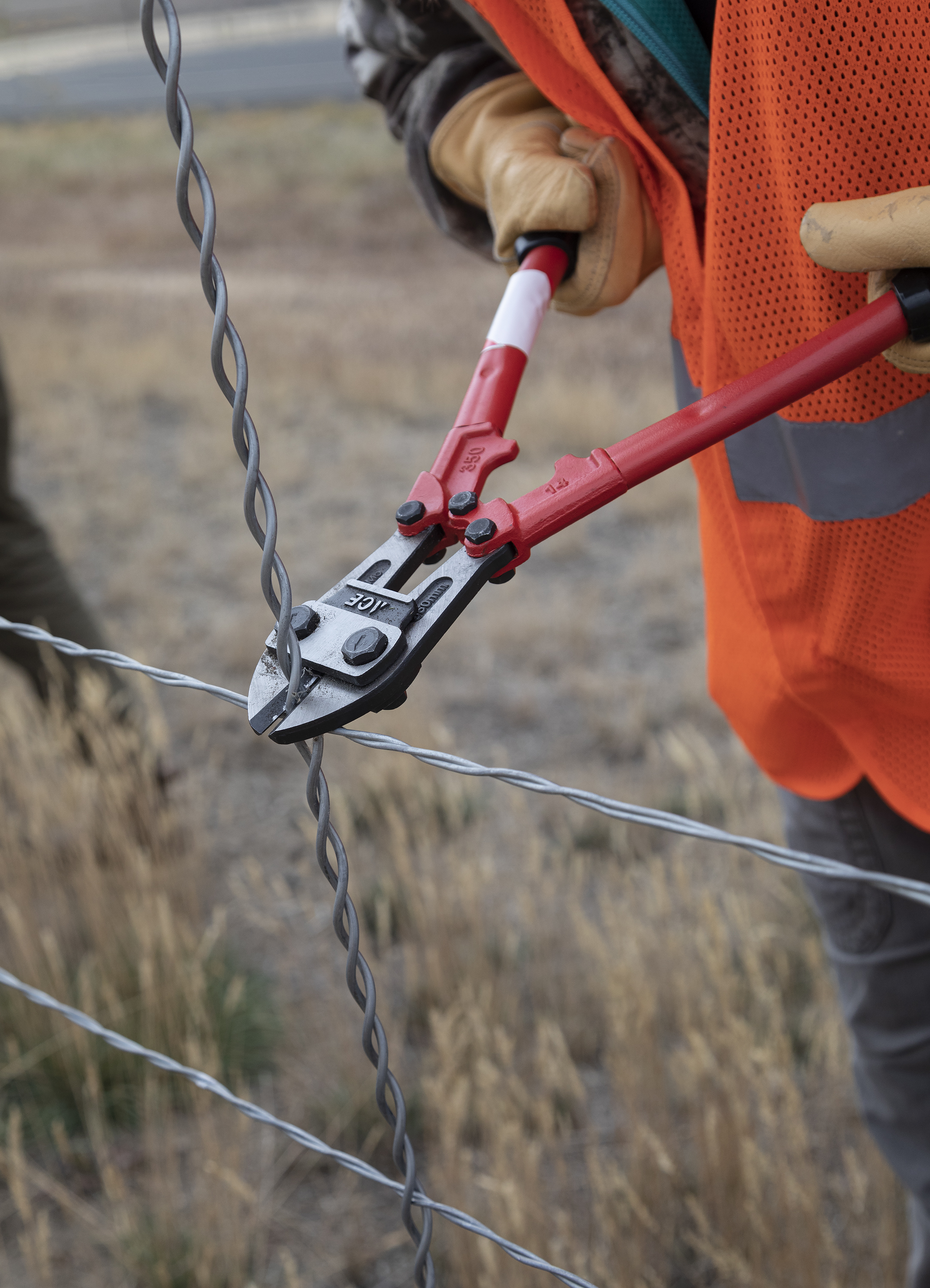 photograph from the Nov. 6 volunteer effort between Buffalo Bill Reservoir and Wapiti west of Cody.jpg