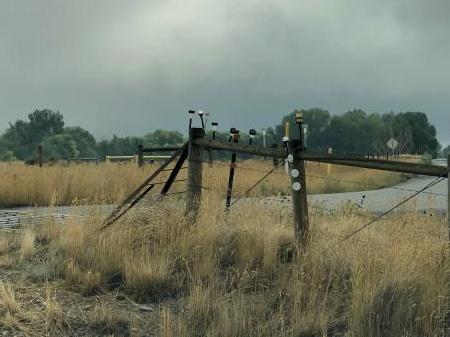 lights on fences 9-2022.jpg