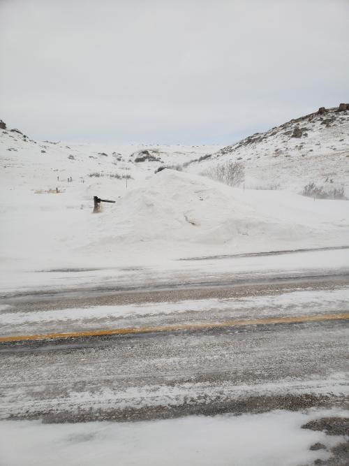 snow in ROW.jpg