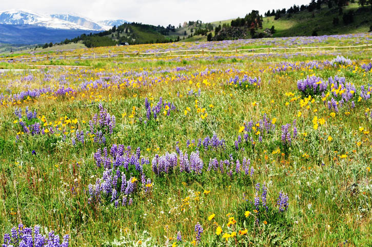 scenic byway