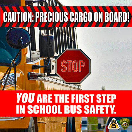 SchoolBusSafety.jpg (School Bus safety)