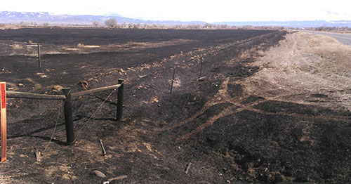 WY114AgriculturalBurn3-2020.jpg